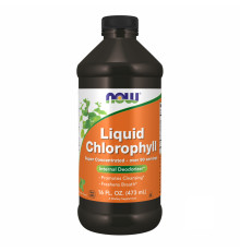 Chlorophyll Liquid Mint - 16 oz