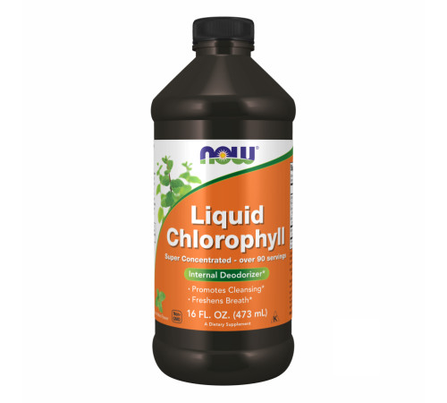 Chlorophyll Liquid Mint - 16 oz