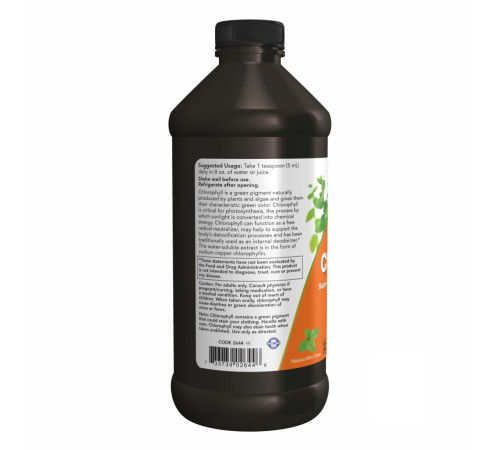 Chlorophyll Liquid Mint - 16 oz