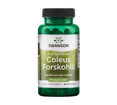 Coleus Forskohii 400 mg - 60 caps Coleus Forskohii 400 mg - 60 caps