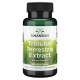 Tribulus Terrestris Extract 500mg - 60caps