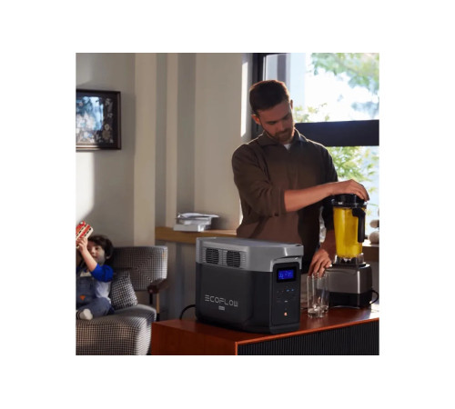 Зарядна станція EcoFlow DELTA 2 Max (EFDELTA2Max-EU)