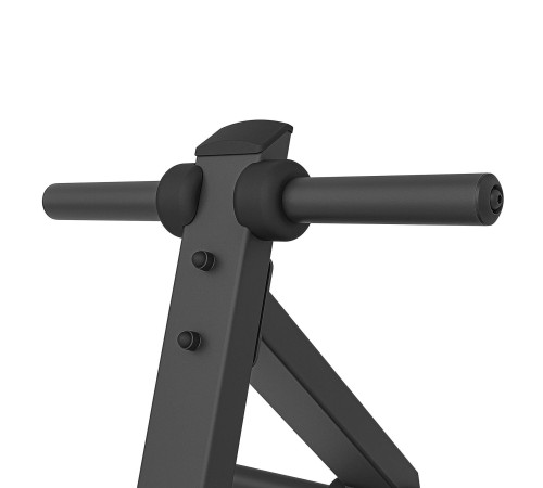 Стійка для олімпійських дисків UpForm UX-S203