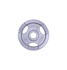 Диск чавунний inSPORTline Hamerton 5 кг