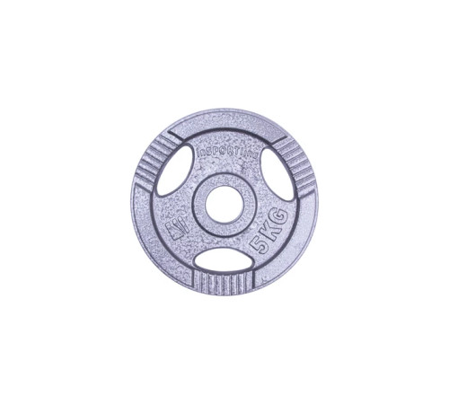 Диск чавунний inSPORTline Hamerton 5 кг