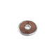 NOHRD WeightPlate 0,5kg x2 Oak Vintage
