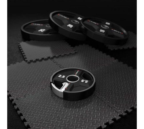 Диск олімпійський HMS TPC02 2.5 кг