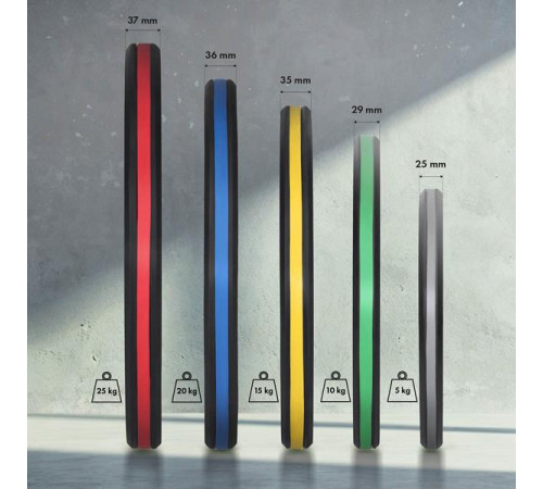 Диски олімпійські HMS TOG 2 x 5 кг