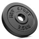 Набір дисків чавунних Hop-Sport Strong 4 x 2,5 кг