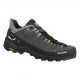 Кросівки ч Salewa ALP TRAINER 2 GTX M 61400 0876 - 46 - сірий/чорний