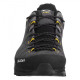 Кросівки ч Salewa ALP TRAINER 2 GTX M 61400 0876 - 46 - сірий/чорний