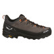 Кросівки ч Salewa ALP TRAINER 2 GTX M 61400 7953 - 44 - коричневий