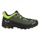 Кросівки ч Salewa ALP TRAINER 2 M 61402 5331 - 40.5 - зелений