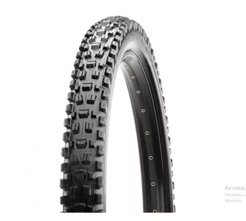 Шина велосипедна 29 x 2,50 MAXXIS ASSEGAI WT 60TPI 3CT EXO TR - чорна