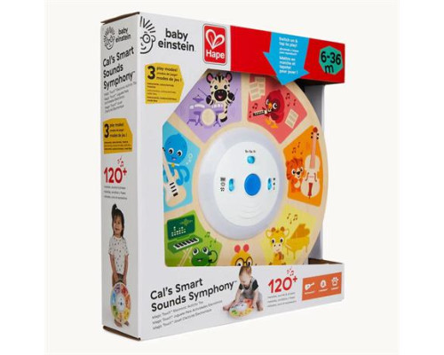 Музична іграшка Baby Einstein Magic Touch Веселий кружечок (800890)