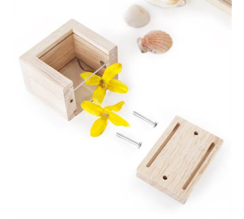 Набір Guidecraft Natural Play Скарби в прозорих ящиках (G3084) Набір Guidecraft Natural Play Скарби в прозорих ящиках (G3084)