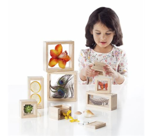 Набір Guidecraft Natural Play Скарби в прозорих ящиках (G3084) Набір Guidecraft Natural Play Скарби в прозорих ящиках (G3084)