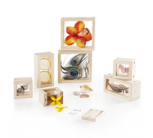 Набір Guidecraft Natural Play Скарби в прозорих ящиках (G3084) Набір Guidecraft Natural Play Скарби в прозорих ящиках (G3084)
