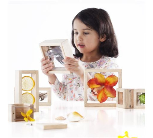 Набір Guidecraft Natural Play Скарби в прозорих ящиках (G3084) Набір Guidecraft Natural Play Скарби в прозорих ящиках (G3084)