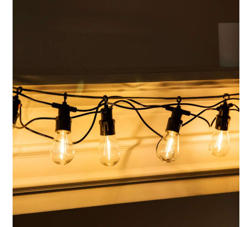 Ретро-гірлянда вулична 10 LED, 5 м, від мережі, теплий білий