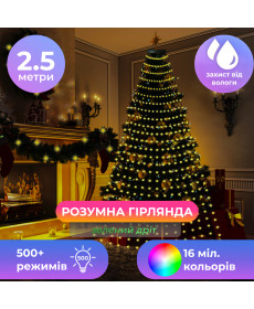 Смарт-гірлянда 250 LED, 2,5 м, з керуванням зі смартфона, мультиколор