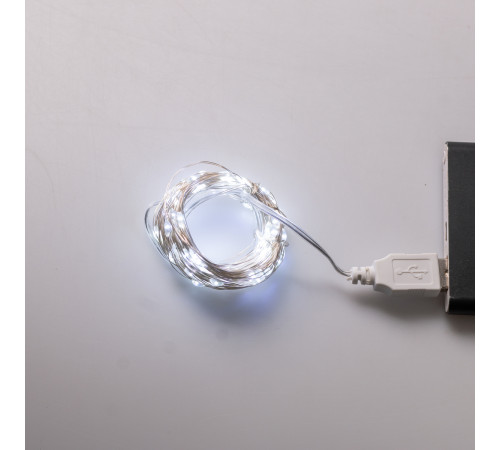 Гірлянда Роса 100 LED, 10 м, від USB, білий