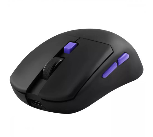 Миша ігрова бездротова Proove Gaming Everon чорна Миша ігрова бездротова Proove Gaming Everon чорна