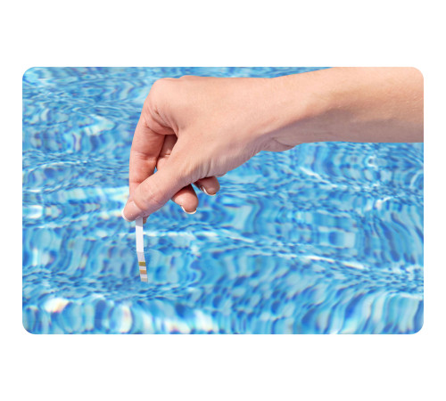 Generator chloru do basenów ogrodowych 12g/h Bestway 58775