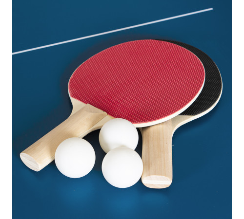Стіл тенісний міні inSPORTline Sunny Mini, синій Стіл тенісний міні inSPORTline Sunny Mini, синій