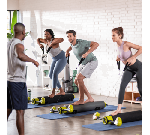 Тренажер BALANCED BODY MOTR