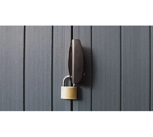 Будиночок садовий Keter Darwin 244 х 190 х 221 см, графіт