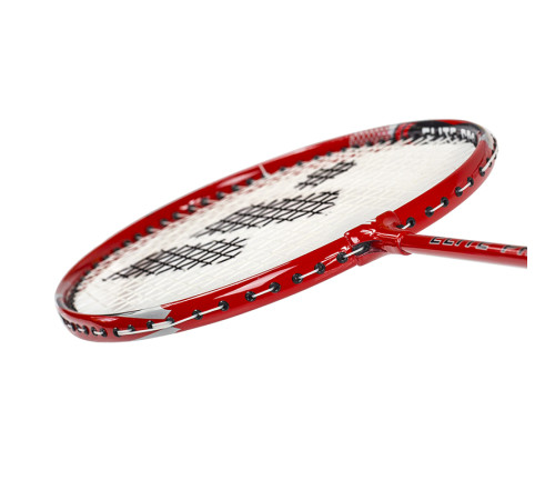 Набір для бадмінтону WISH ALUMTEC 5566, червоно-синій