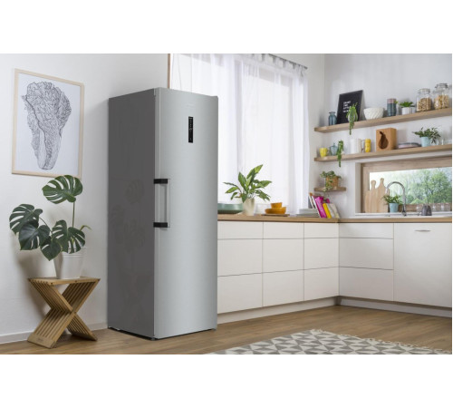 Морозильна камера GORENJE FN 619 EAXL6