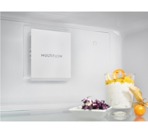 Холодильна камера ELECTROLUX RRC5ME38X2