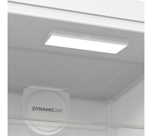 Холодильник комбінований GORENJE R 619 EAW6