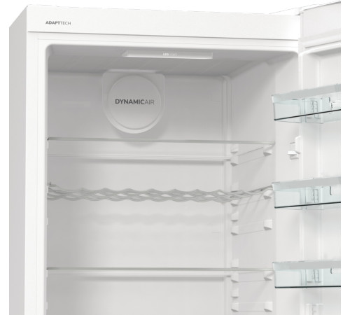 Холодильник комбінований GORENJE R 619 EAW6