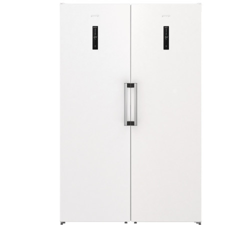 Холодильник комбінований GORENJE R 619 EAW6