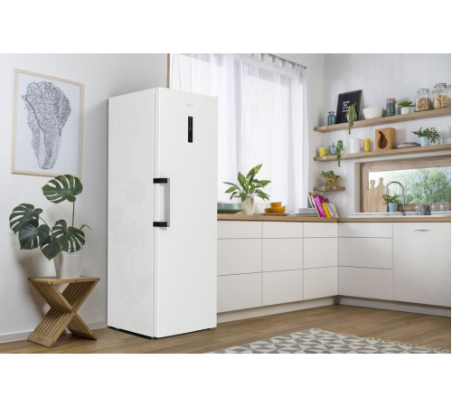 Холодильник комбінований GORENJE R 619 EAW6