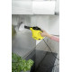 Karcher SC1 EASYFIX (1.516-300.0)
