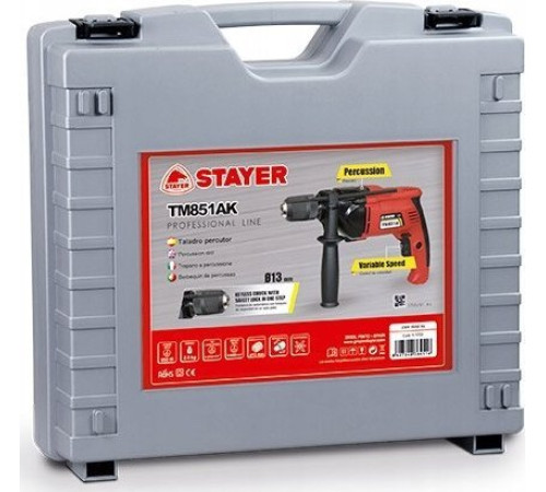 Ударний дриль мережевий Ak Stayer TM851